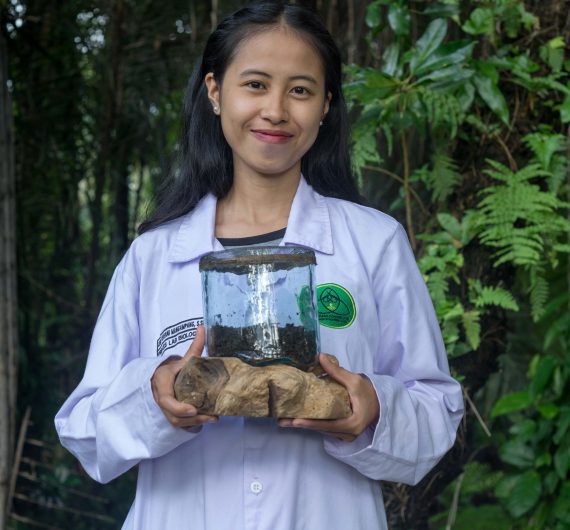 Contact Bring Back The Light