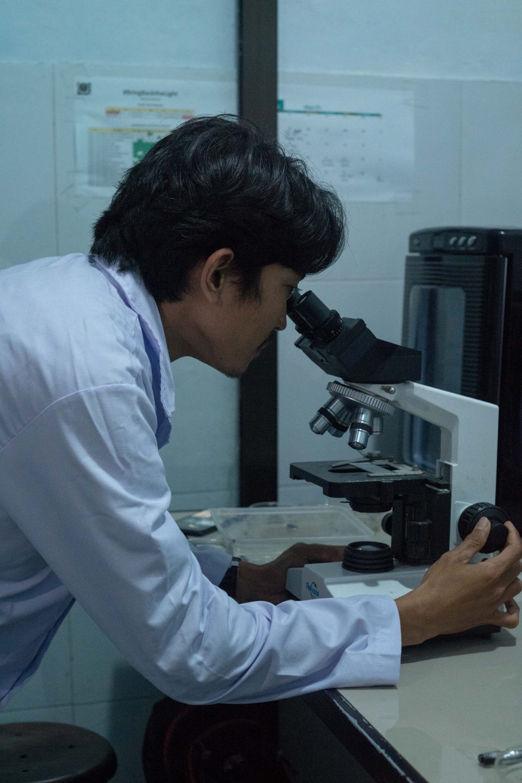 Dirham On Microscope