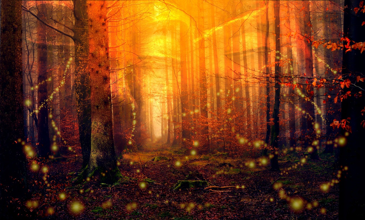 Menyusuri The Fireflys Bali Lewat Tata Ruang Bernuansa Tradisi