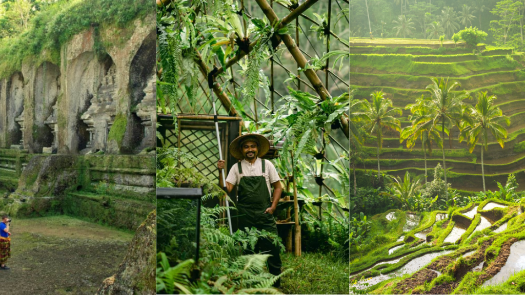 Unique Places to Visit in Ubud