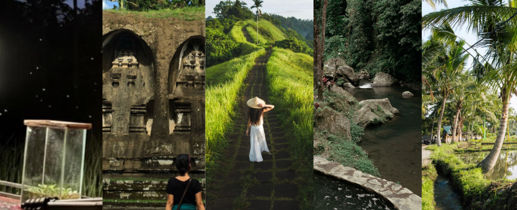Hidden Gems in Ubud for Nature Lovers