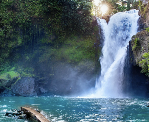 Best Nature Experiences in Ubud Beyond the Crowds