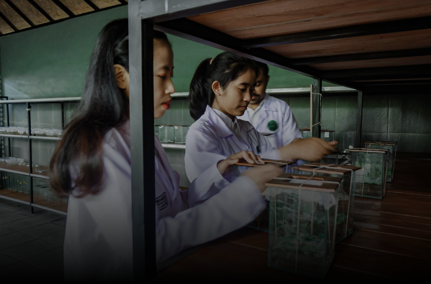 Hidden nature experiences in Ubud