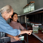 Responsible Tourism Bali