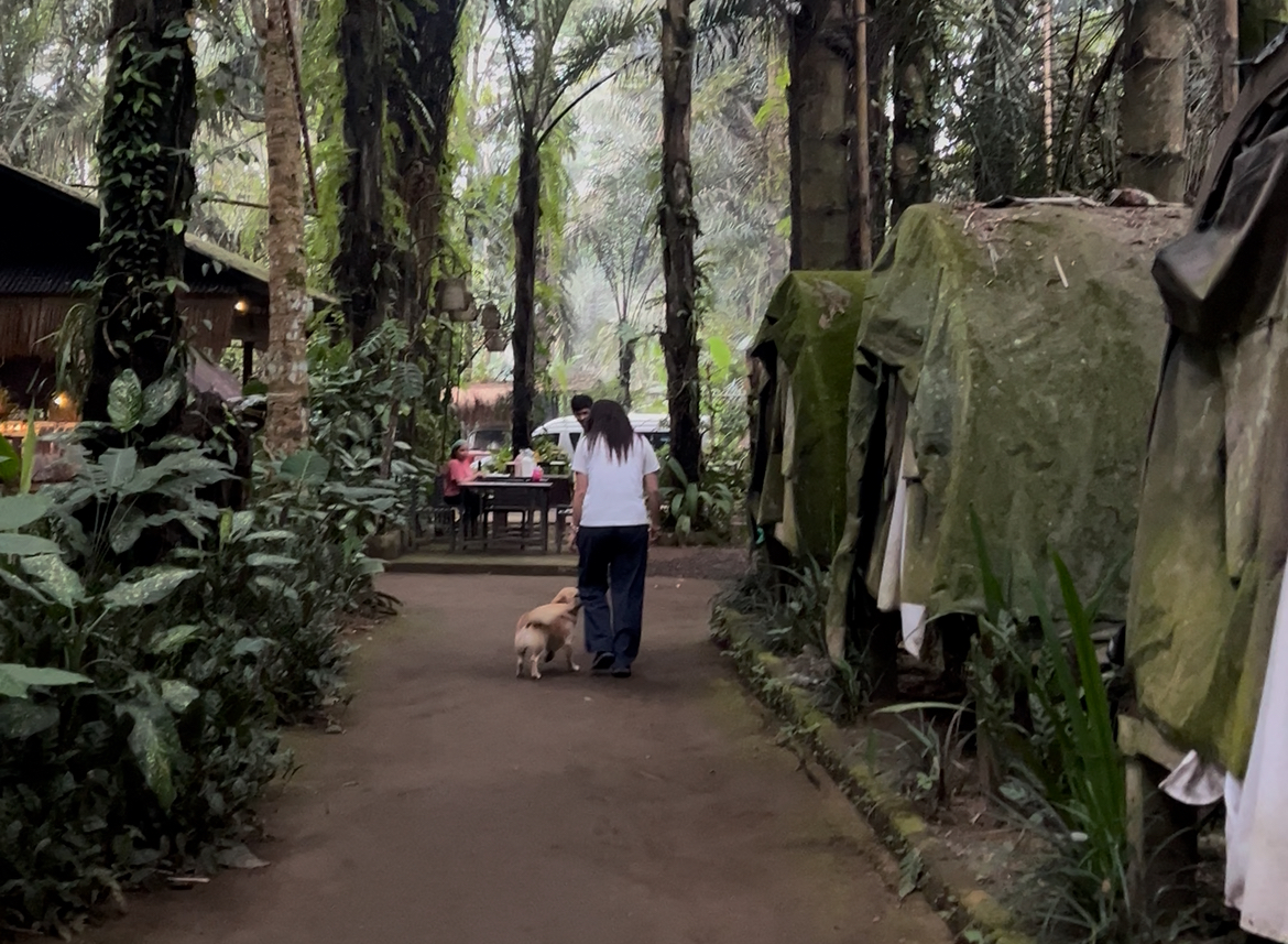 eco-tourism Bali