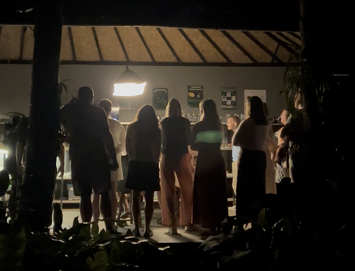 firefly watching Bali