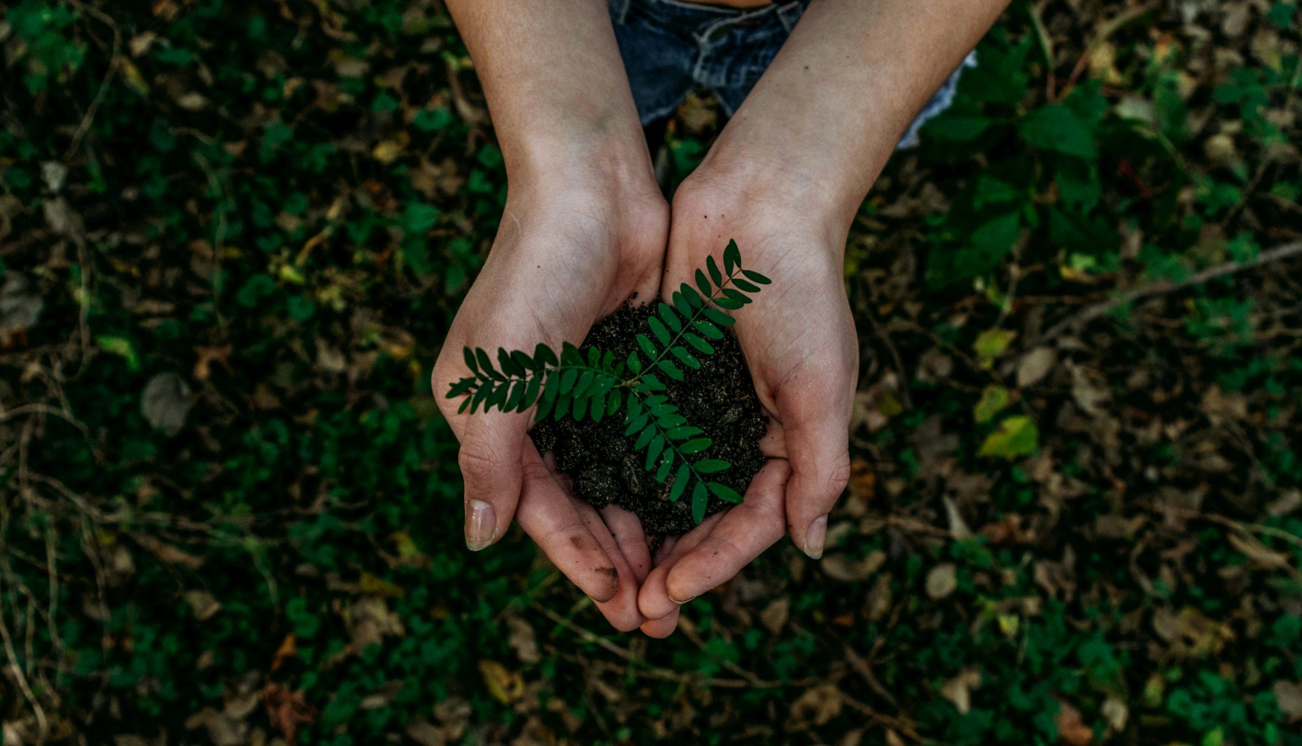 eco-tourism Bali
