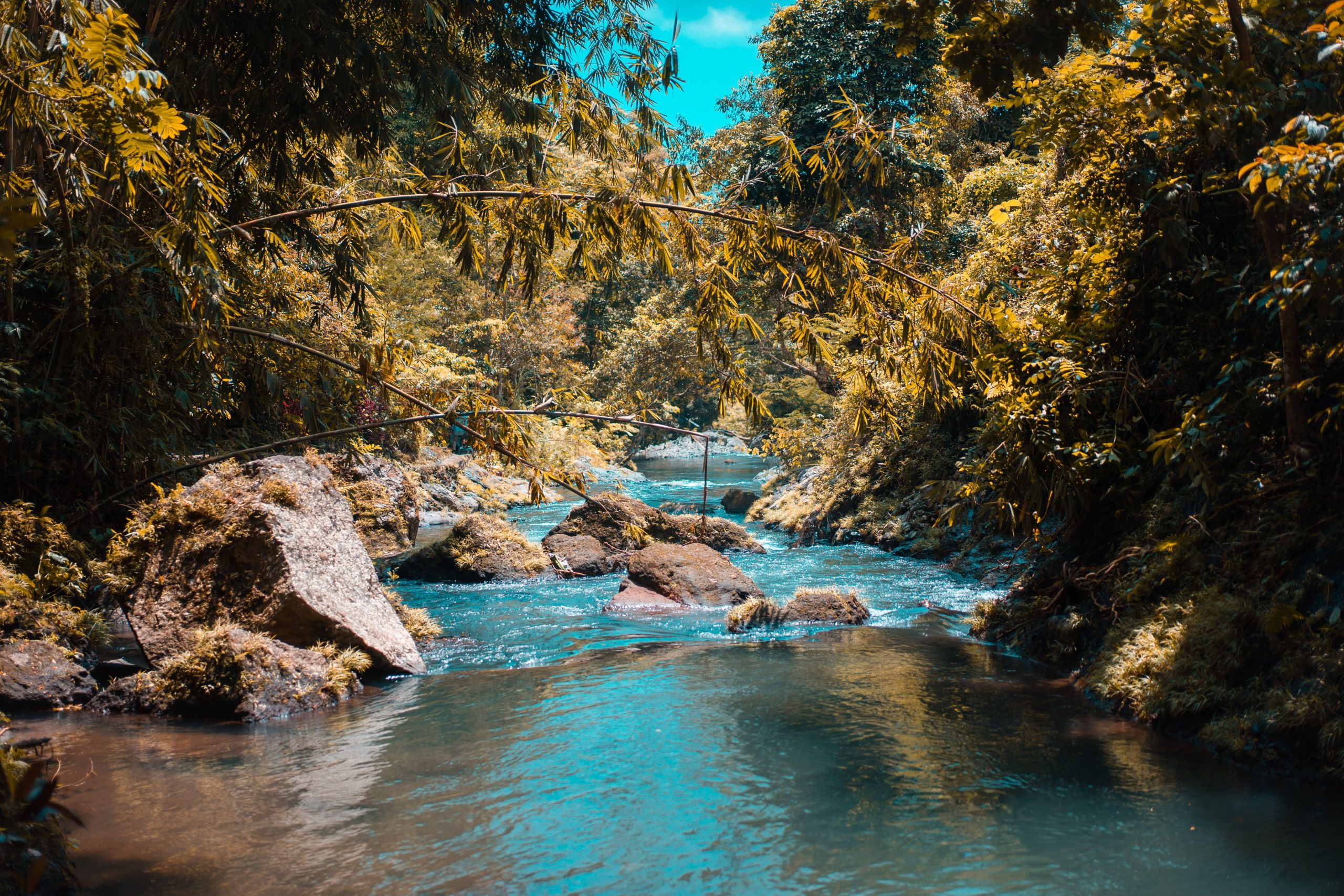 eco-tourism Bali